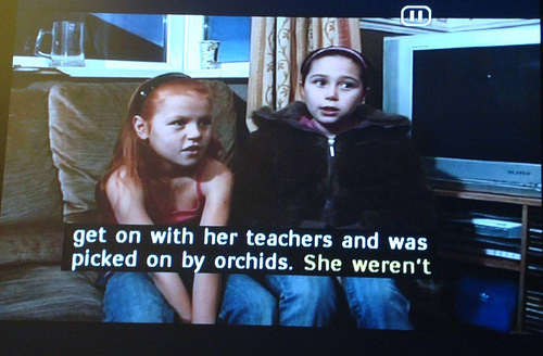 Funny Subtitles From Television Shows Displaying Wrong Words