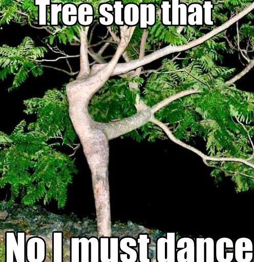 Dancing tree