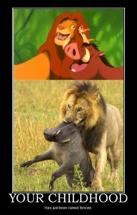 The Lion King Meme That Might Ruin Your Memories