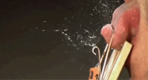Super gross GIFs – can you watch them without squirming?